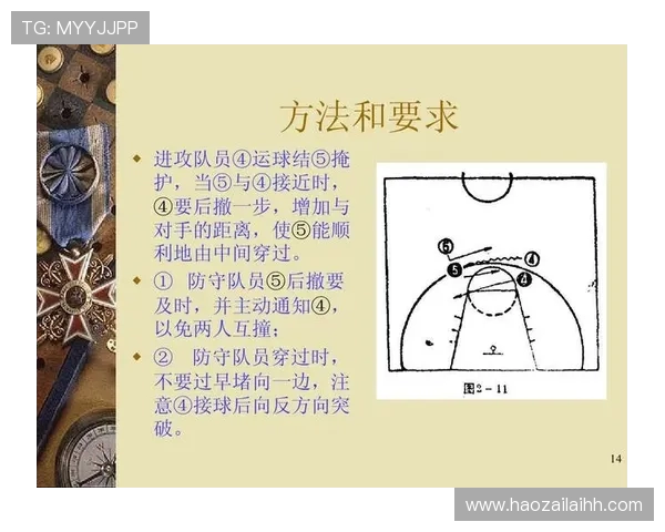 深入分析杭州篮球队的区域防守战术及其在比赛中的应用效果