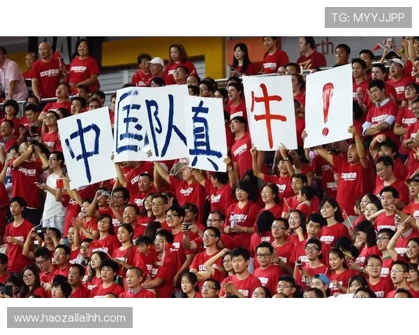 深圳足球队运营分析：成功与挑战并存的背后故事
